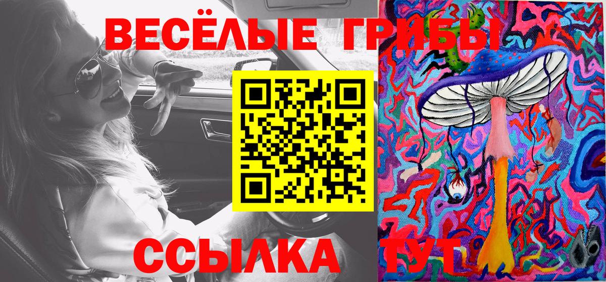 Псилоцибиновые грибы прущие грибы Трёхгорный